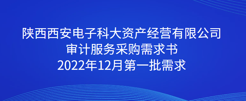 陜西西安電子科大資產(chǎn)經(jīng)營有限公司 審計(jì)服務(wù)采購需求書 2022年12月第一批需求